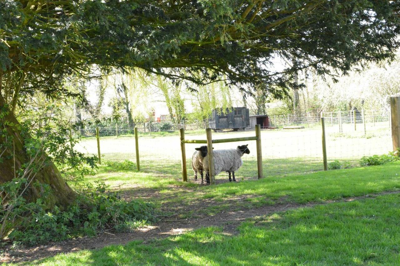 Villa Yew Tree Farm Barn, Worlingworth Exterior foto